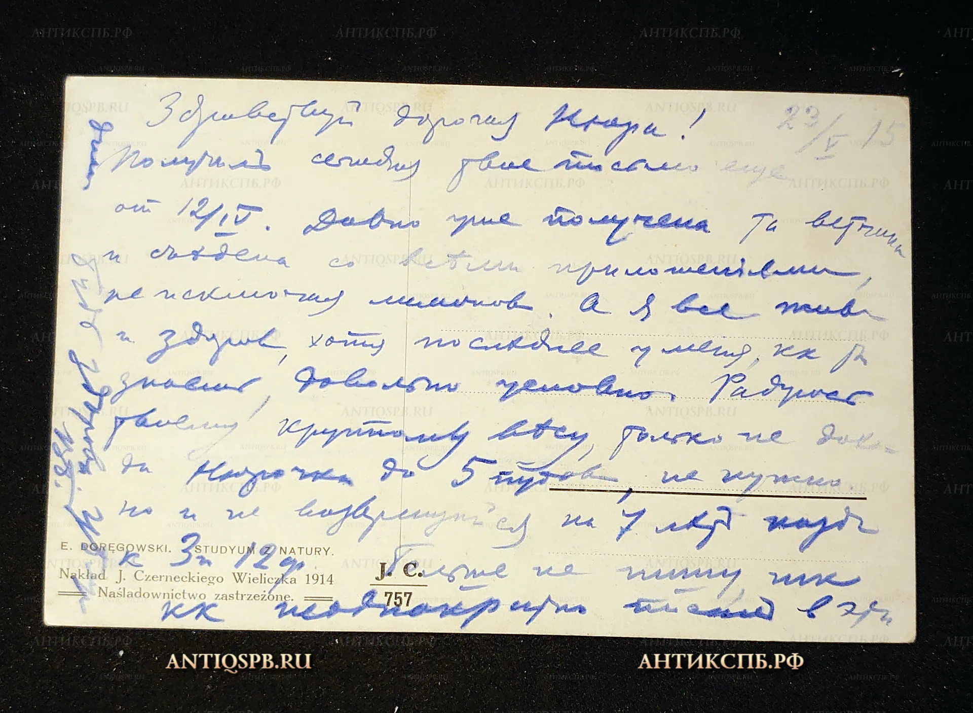 Открытка старинная "Studyum z natury". Е. Doregowski (1894-1934). Naklad J. Czerneckiego Wieliczka 1914. Польша. №7499